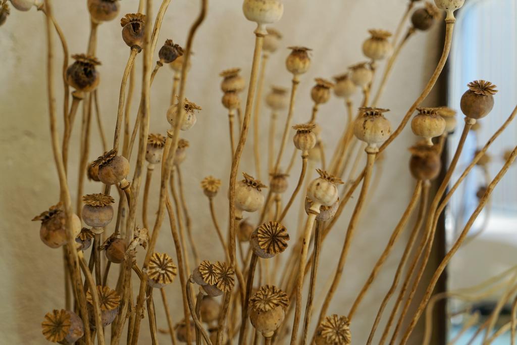 B&B Solosud Matera Kültér fotó